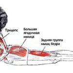 Асана, которая лечит сколиозы.